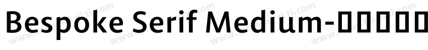 Bespoke Serif Medium字体转换